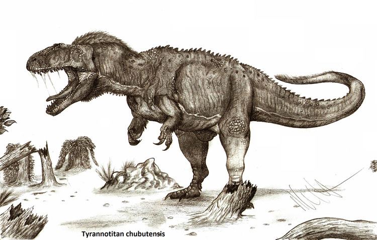 Tyrannotitan Tyrannotitan Facts and Pictures
