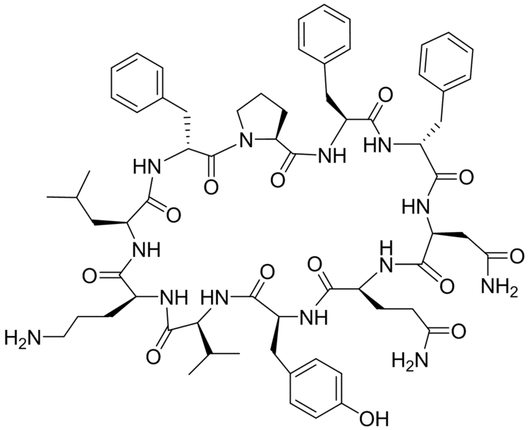 Tyrocidine ucsdchem257 Tyrocidine