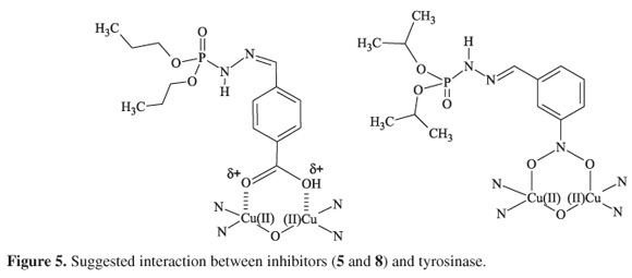 Tyrosinase Dialkylphosphorylhydrazones as potent tyrosinase inhibitors
