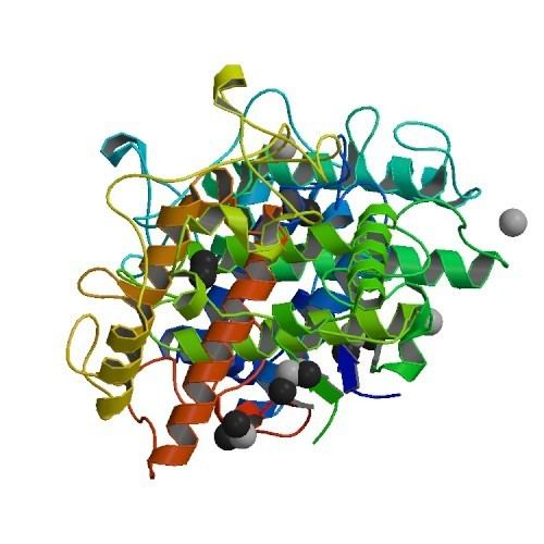 Tyrosinase RCSB PDB 3NM8 Crystal structure of Tyrosinase from Bacillus