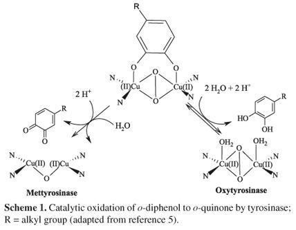 Tyrosinase Dialkylphosphorylhydrazones as potent tyrosinase inhibitors