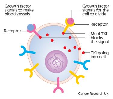 Tyrosine-kinase inhibitor Cancer growth blockers Cancer Research UK