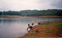 Tzaneen Dam httpsuploadwikimediaorgwikipediacommonsthu