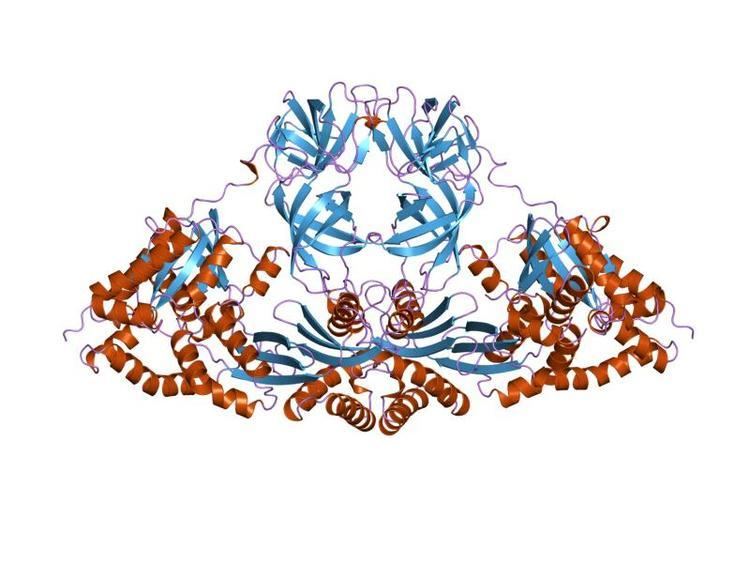 UBA protein domain