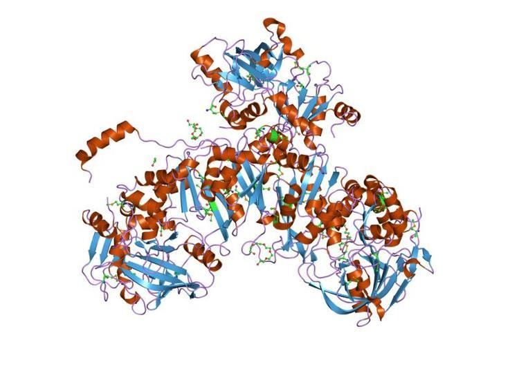 UbiD protein domain