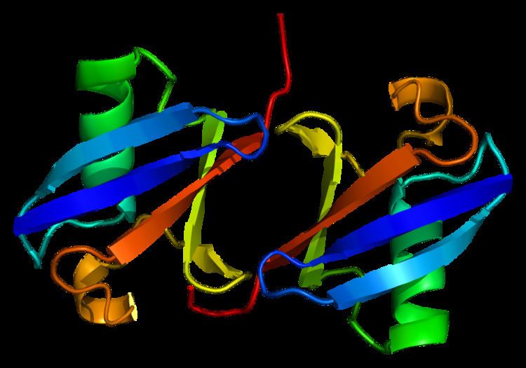 Ubiquitin A-52 residue ribosomal protein fusion product 1