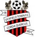 Uckfield Town F.C. httpsuploadwikimediaorgwikipediaenaa3Uck