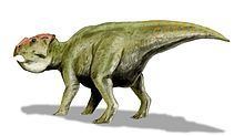 Udanoceratops httpsuploadwikimediaorgwikipediacommonsthu