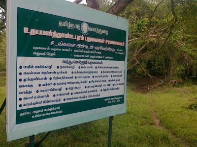 Udayamarthandapuram Bird Sanctuary Tamilnadu Tourism Udayamarthandapuram Bird Sanctuary Thiruvarur