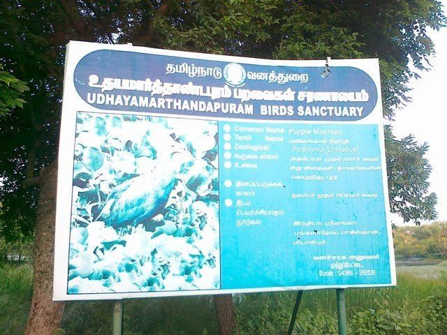 Udayamarthandapuram Bird Sanctuary Tamilnadu Tourism Udayamarthandapuram Bird Sanctuary Thiruvarur