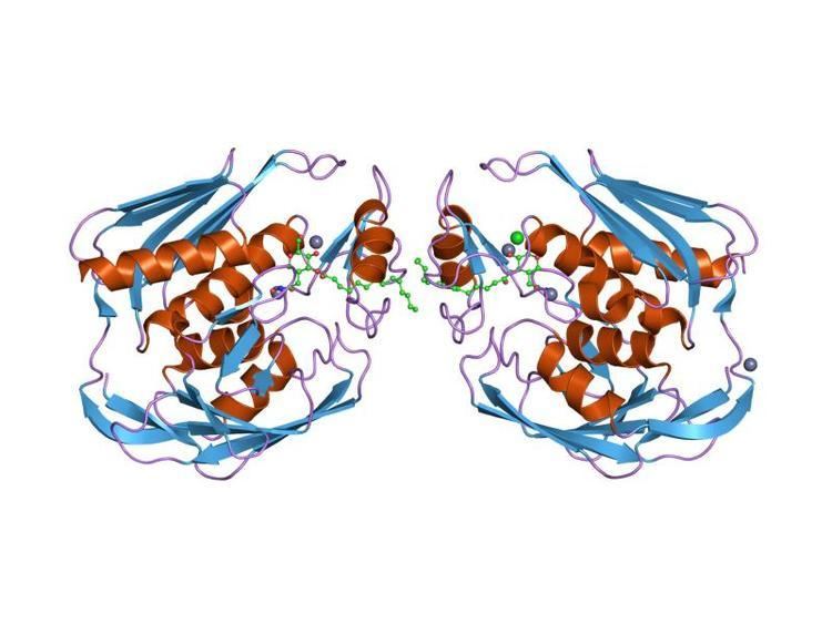 UDP-3-O-N-acetylglucosamine deacetylase