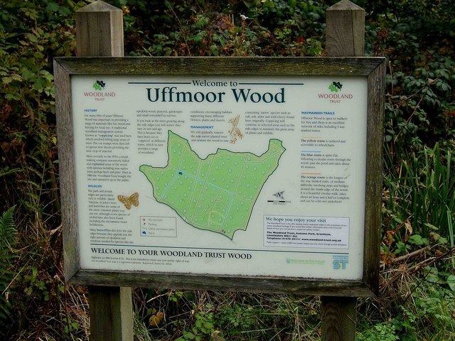 Uffmoor Wood s0geographorgukgeophotos0154391543985616f