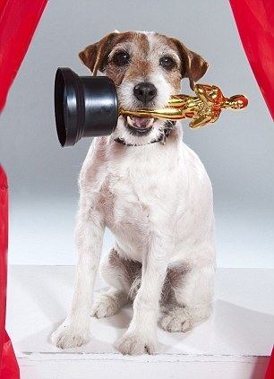 Uggie Illness forces Uggie to take his final bowwow at Oscars Daily