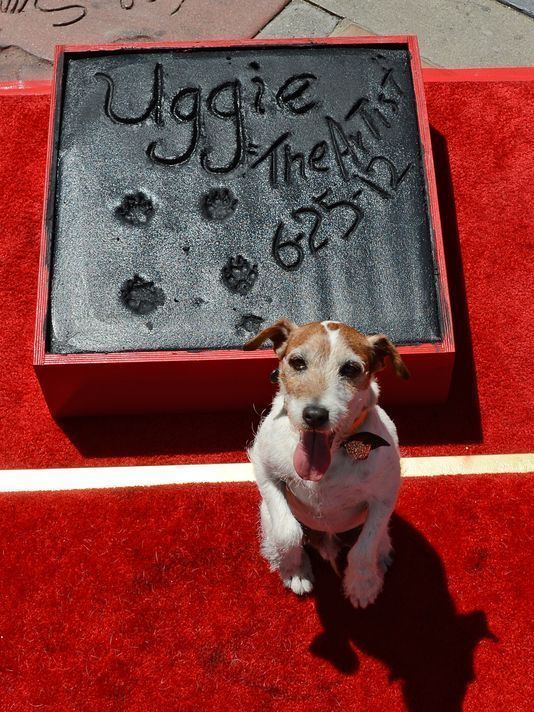 Uggie Uggie the dog star of 39The Artist39 dies