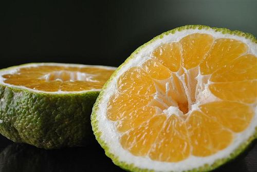 Ugli fruit Ugli Fruit Nutrition Facts Health Benefits Recipes Pictures