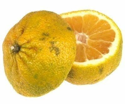 Ugli fruit Ugli fruit Substitutes Ingredients Equivalents GourmetSleuth