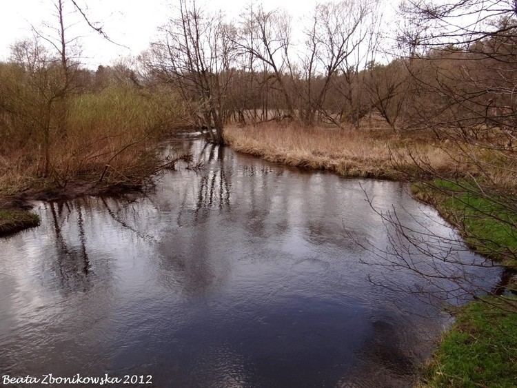 Ukleja (river) westernpomeraniacomplclientswesternuploadf