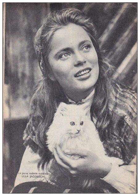 Ulla Jacobsson 0 Ulla Jacobsson with a white kitten classic actors with animals