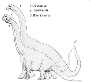 Ultrasaurus Dinosaurs Ultrasaurus