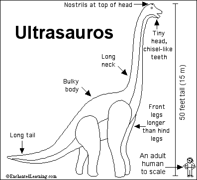 Ultrasaurus Ultrasauros Enchanted Learning Software