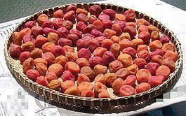 Umeboshi Umeboshi Wikipedia