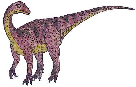 Unaysaurus Unaysaurus Dinosaur Facts information about the dinosaur unaysaurus