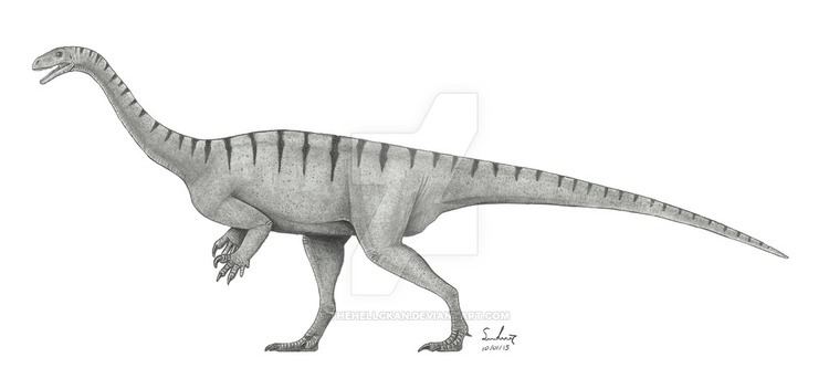 Unaysaurus unaysaurus DeviantArt