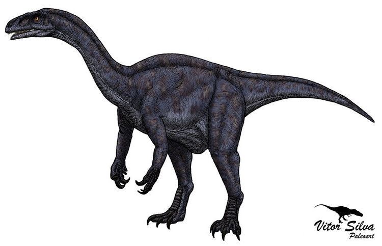 Unaysaurus unaysaurus DeviantArt