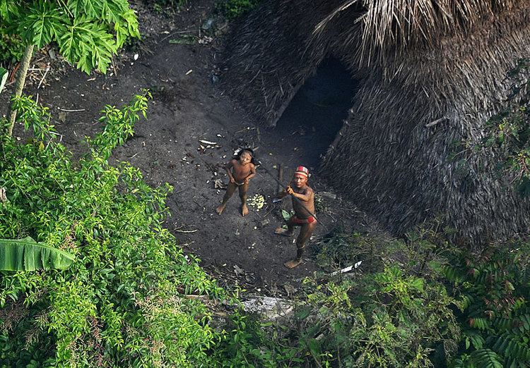 uncontacted-tribe-in-brazil-ends-its-isolation-science-aaas