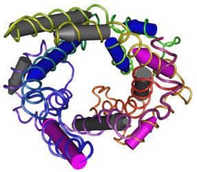 Uncoupling protein Uncoupling protein Wikipedia