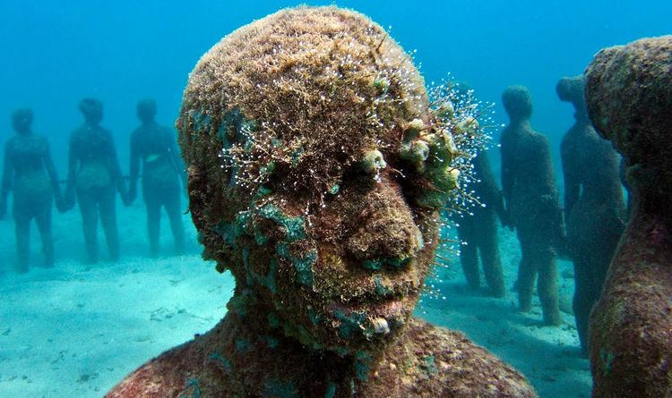 Underwater 9 Bizarre Underwater Discoveries Brain Berries