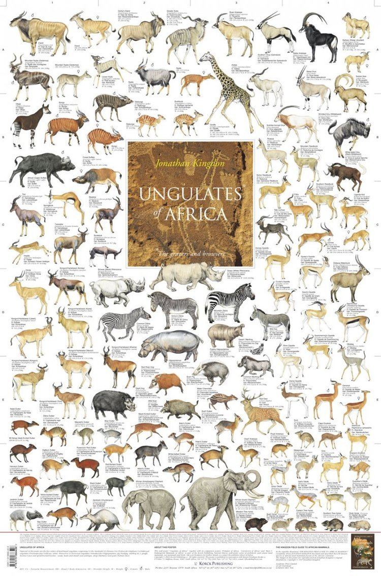 Ungulate The Lost World of South American Ungulates A YEC Ungulate Problem