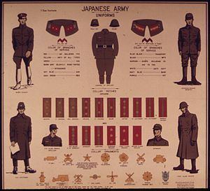 Uniforms of the Imperial Japanese Army Imperial Japanese Army Uniforms WikiVisually