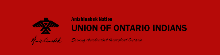 Union of Ontario Indians wwwanishinabekcawpcontentuploads201605UOIL