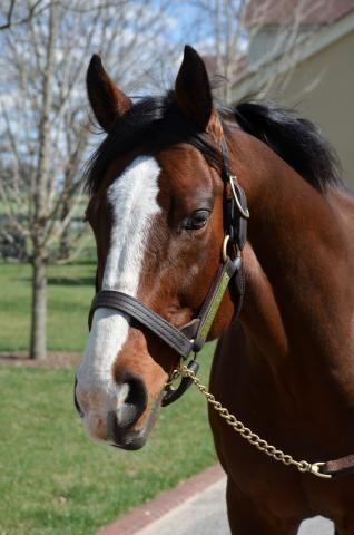 Union Rags Catching Up With Union Rags Americas Best Racing