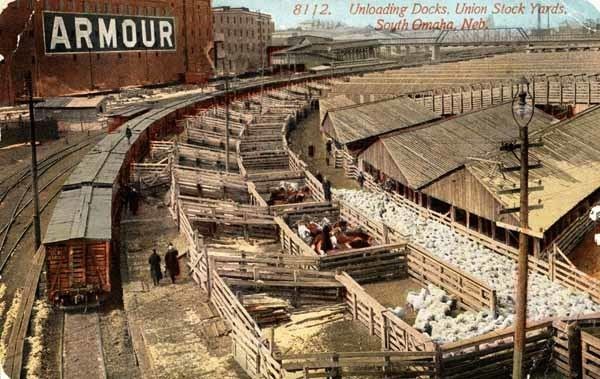 Union Stock Yards 1000 images about Chicago Union Stockyards on Pinterest Cattle