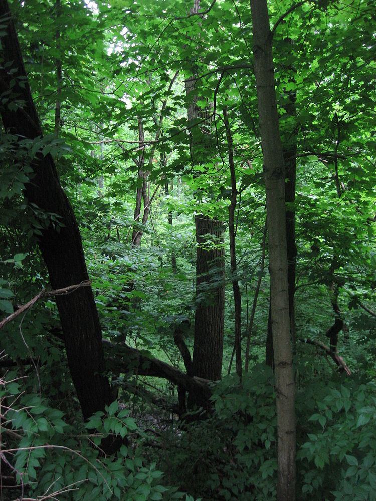 Union Township Works II