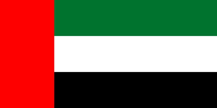 United Arab Emirates at the 2010 Summer Youth Olympics
