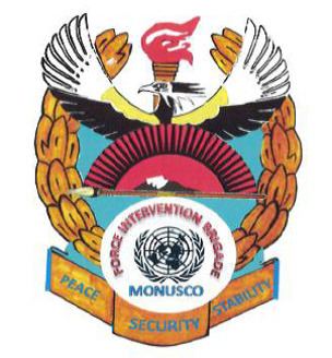 United Nations Force Intervention Brigade