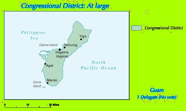 United States House of Representatives election in Guam, 2008