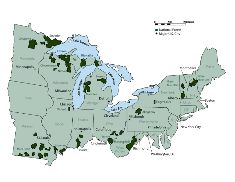 United States National Forest - Alchetron, the free social encyclopedia