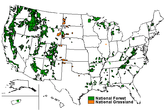 United States National Forest USDA Forest Service Caring for the land and serving people
