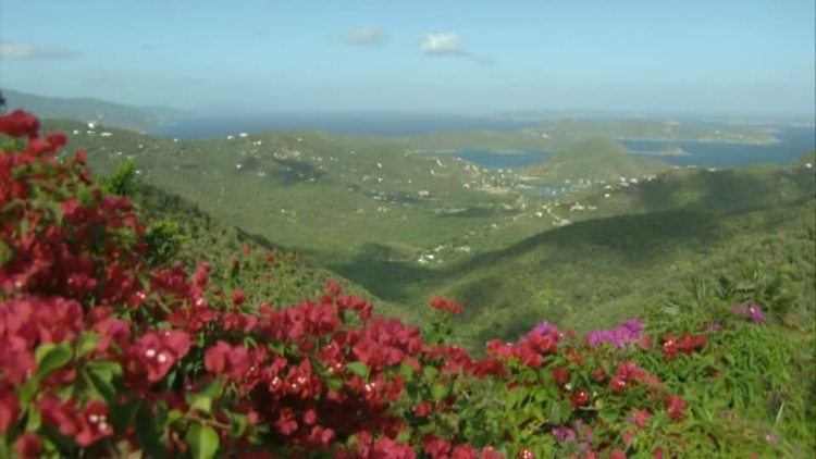United States Virgin Islands Beautiful Landscapes of United States Virgin Islands