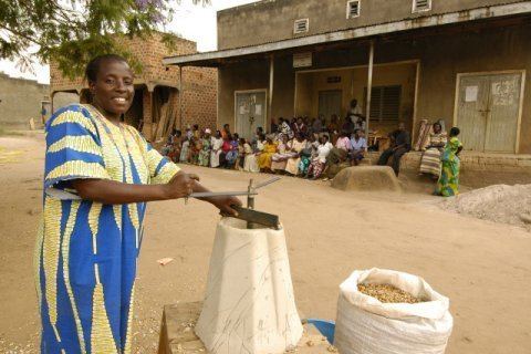 Universal Nut Sheller