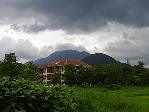 University College of Engineering, Thodupuzha httpsuploadwikimediaorgwikipediacommonsthu