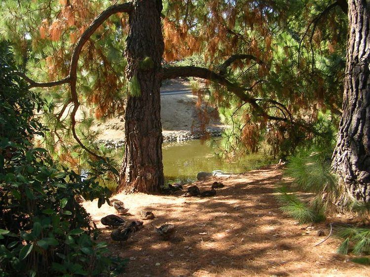 University of California, Davis Arboretum
