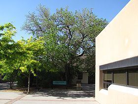 University of New Mexico Arboretum httpsuploadwikimediaorgwikipediacommonsthu