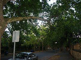 Unley Park, South Australia httpsuploadwikimediaorgwikipediacommonsthu