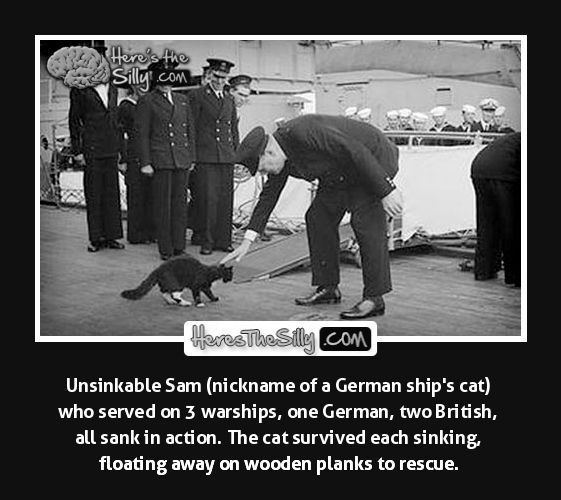 Unsinkable Sam 10 best ideas about Unsinkable Sam on Pinterest War Iwo jima and