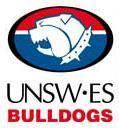 UNSW-Eastern Suburbs Bulldogs httpsuploadwikimediaorgwikipediaen886UNS